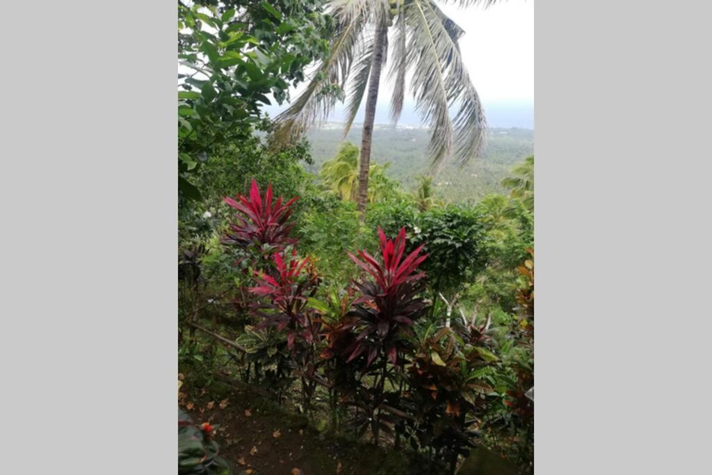 The Balcony Of The Camiguin Island Apartment Mambajao Exterior photo
